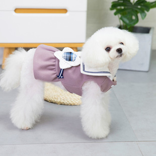 Pet clothing dog clothes autumn and winter cotton skirt Teddy small dog pet clothes winter 21 big flower woolen skirt