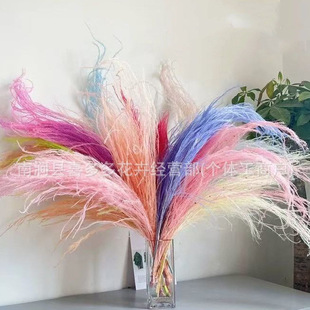 ���趨 �� �ɻ�������ë����횲��Lë�ݻ�c�b�ܛ�b��ˇ�Ғ�