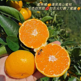 【涌泉蜜桔】高山甜橘现摘现发皮薄多汁肉质脆嫩10斤新鲜水果代发