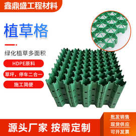 塑料植草格厂家消防通道护坡小区绿化景点停车场马术场HDPE植草格