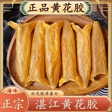 【20头1斤】鱼胶筒花胶巴沙鱼肚干货鱼鳔孕妇滋补中秋节送礼年货