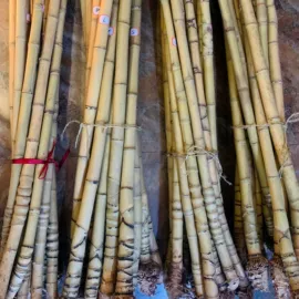 茶叶包装;竹质工艺品;其他杯子