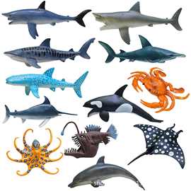 6寸空心海洋生物儿童认知仿真野生动物静态虎鲸大白鲨动物PVC模型