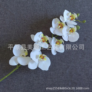 �Z��퍷��滨�߷���ٻ��ߙn�ҾӔ[�O�W�t�ָб����@�y7�^�����m