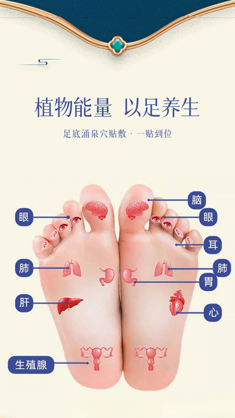 Evodia Cinnamon Foot Patches Wu Zhu Yu Rou Gui Multi-Site Herbal Patches with Mugwort 30 Patches key features