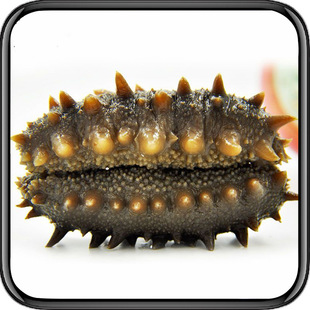 ��һ�����l�����B��ʳ����Դ�^���S������rʳ�ŵ��|�̅�500g