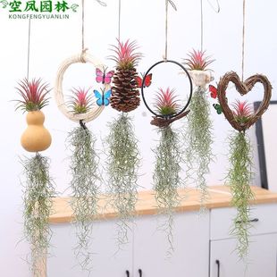 �՚��P����������}������˟o��ֲ������ȩ������ˮ���B�׻�