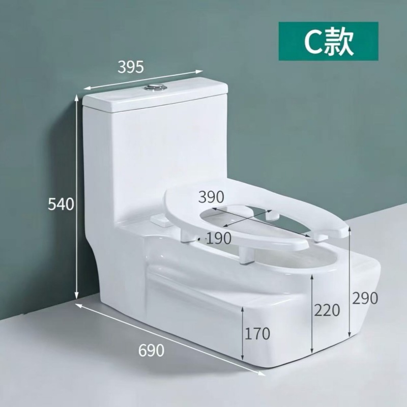 Chaozhou inodoro de doble uso en cuclillas, inodoro doméstico integrado, inodoro antiodor y antideslizante de tipo de empuje directo
