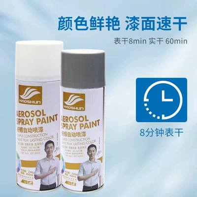 450ml Haoshun Paint Metal Avtomobil boyası
