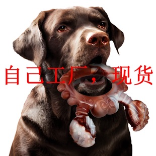 Amazon New Explosions Nylon Durable Dog Chewing Toy Beef Flavor Dog Molar Toy Interactive Dog Toy