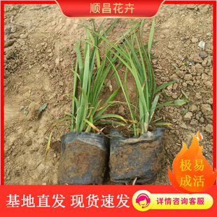 �������lС�~������ �ļ������ͺ��͟� �@�־G����ľ ���~������