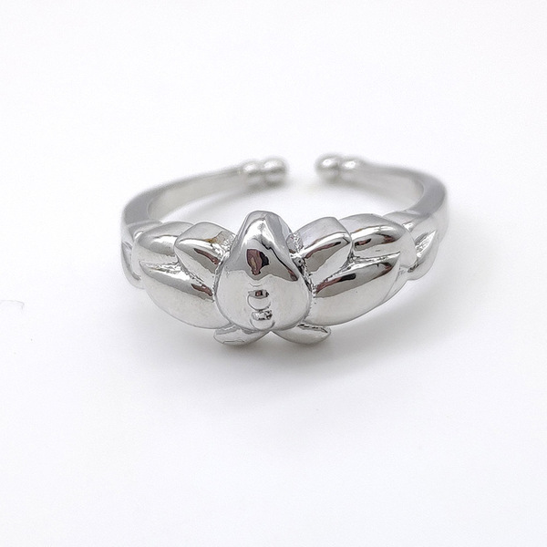 The ruined Flillian ring The Flillian ring The Flillian ring The…