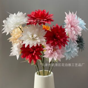���滨3�^�һ�������צ�ՏS�����l��c�Y���b�޲��üҾ��b�