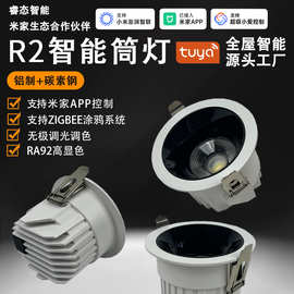 led天花灯筒灯语音控制防眩嵌入式吊灯洞灯已接入米家APP可调光