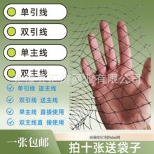 �������x�W��]�Ϲɾ��r�÷��x�W����Nֲ���@���L�x�W�S��ֱ��