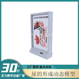 教学演示用品;教学仪器;生物教学器材