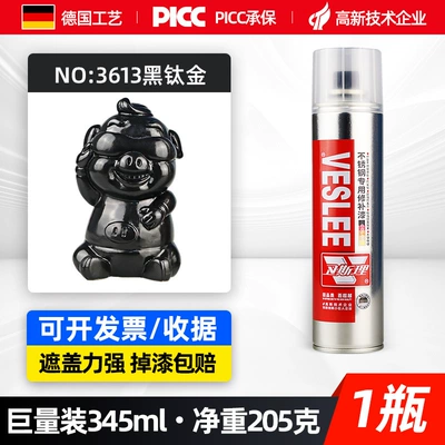 Paint Cold Galvanizing Hand Spray Paint – Avtomobil boyası - stainless-steel-paint-black-titanium-338ml-spray-paint