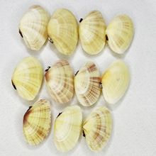 ��Ȼ����ؐ���۸�˱����M�����Ѹ�Ҿ��b[��3-5cmϡ����ؐ