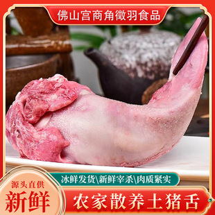 ���l�i�����r������l�i���^����ţ�ڗl������偿��������i���^
