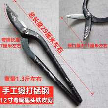 ]FƤ/FƤ/ I/FƤ/ ̼䓼/F呴ּ