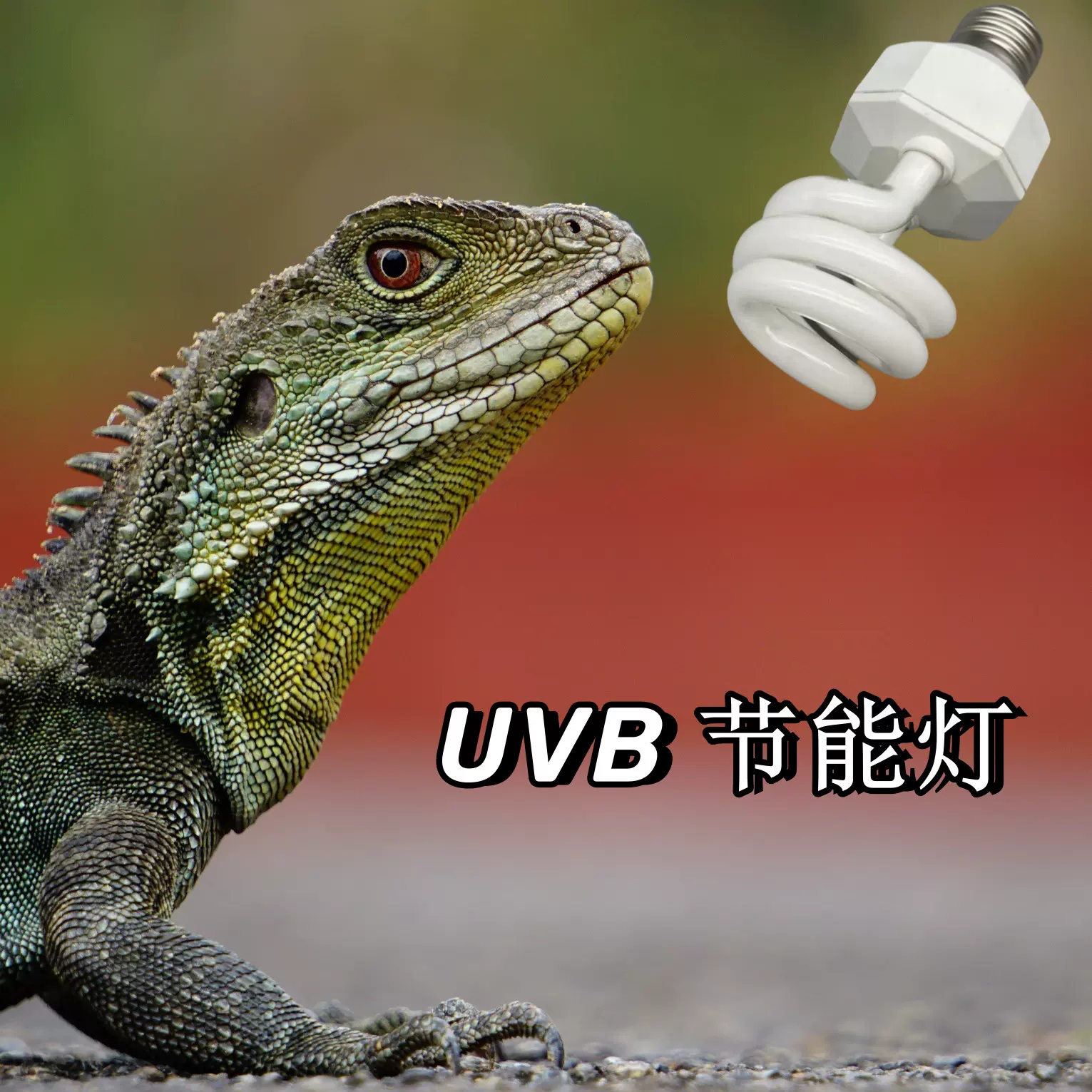 13W5.0UVB爬宠补钙节能灯220V10.0陆龟鬃狮饲养箱蜥蜴灯