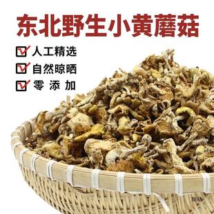 �|��Ұ��С�SĢ���L��ɽ����Ģ��Ģ�����ҟ�����؛���a500g