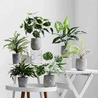 北欧ins仿真植物装饰花风小摆件客厅桌面盆栽家居室内假绿植盆景