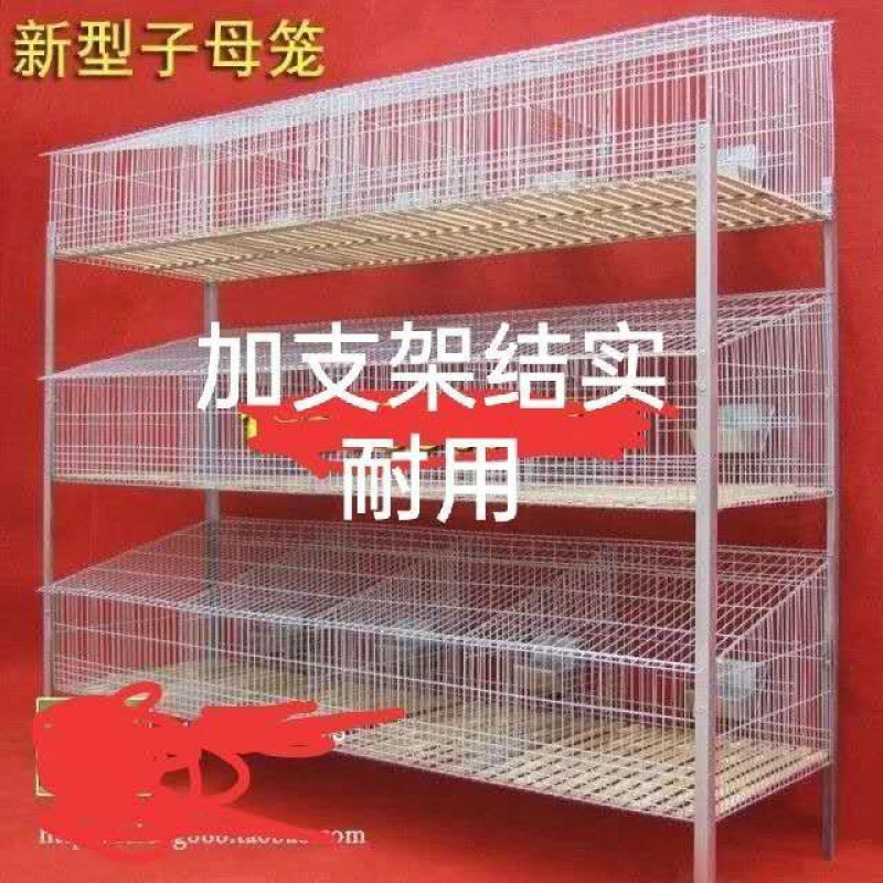 兔笼子母兔笼养殖笼子兔子笼特大号兔笼12位子母兔笼养殖兔子笼子