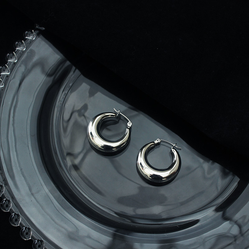Fashion Solid Color Titanium Steel Hoop Earrings 1 Pair display picture 4