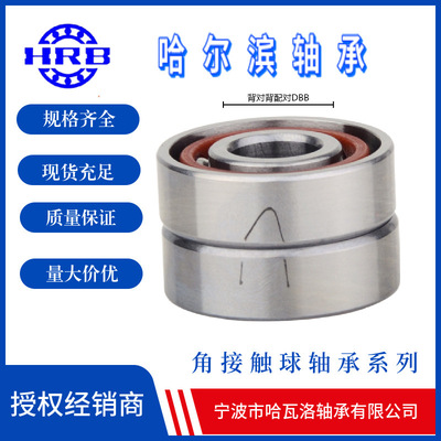 HRB 7201AC-2RZ/P5DBB  哈尔滨角接触轴承 内径12mm 外径32mm 厚1