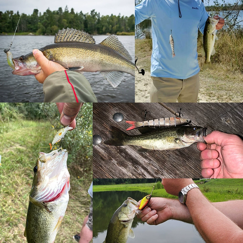 Conjunto Minnow en caja
