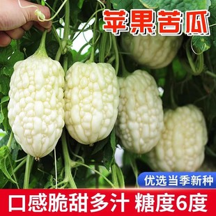 �O����ϷN�Ӹ���ˮ����̨��С�N���߲��ļ����Nֲ24С�r�l؛