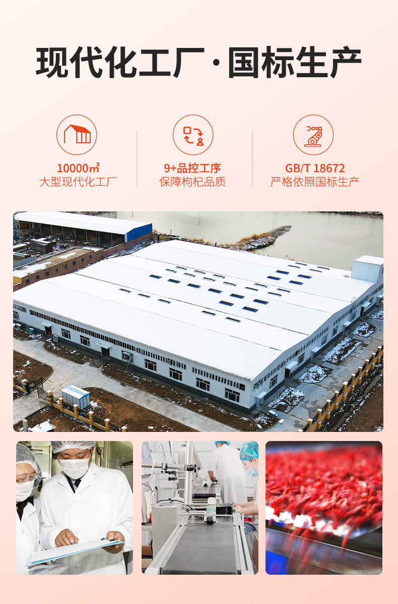 Premium Ningxia Goji Berries 500g Dried Wolfberry Fruit Gou Qi Zi for Tea Soup and Congee in use