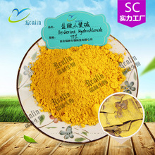 盐酸小檗碱97%黄连素 黄连提取物瑞林生物资质全量大从优现货包邮