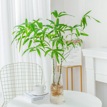 ������Ϙ��Gֲ���҃�ˮ�B���������������̨�͏dˮ��������