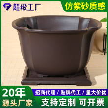 工厂批发仿紫砂花盆多肉植物金弹子老鸦柿盆栽盆景大口径树脂花盆