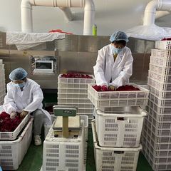 Yunnan Ink Red Rose Rose Tea Edible Flower Tea Yunnan Red Rose Gold Edge Pollen Corolla Petals Freeze-dried