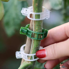 ֲ��A/����A��/���Ͻ����A/��֦�A/�����A/�����A/�����̶��A��