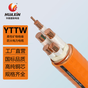 �A����|YTTW���ԵV��^�����������|�~�o����|������|�^��