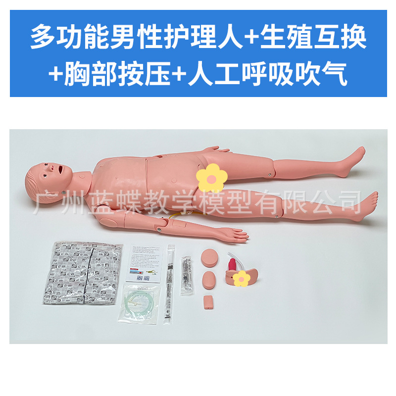 ���廤����ѵ ��Ů����ҽѧ ��ʿ������ѵ ��ɩ����֪ʶ����ģ��