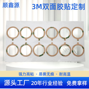 300lse pet�p���zģ�� �͸ߜ�͸�������p���z 9495le����ģ�мӹ�