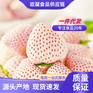 �����|��S�S�C��ɽ�|��ѩ��ݮ 1/3�����Ͱײ�ݮ���rˮ����ѩ��ݮ