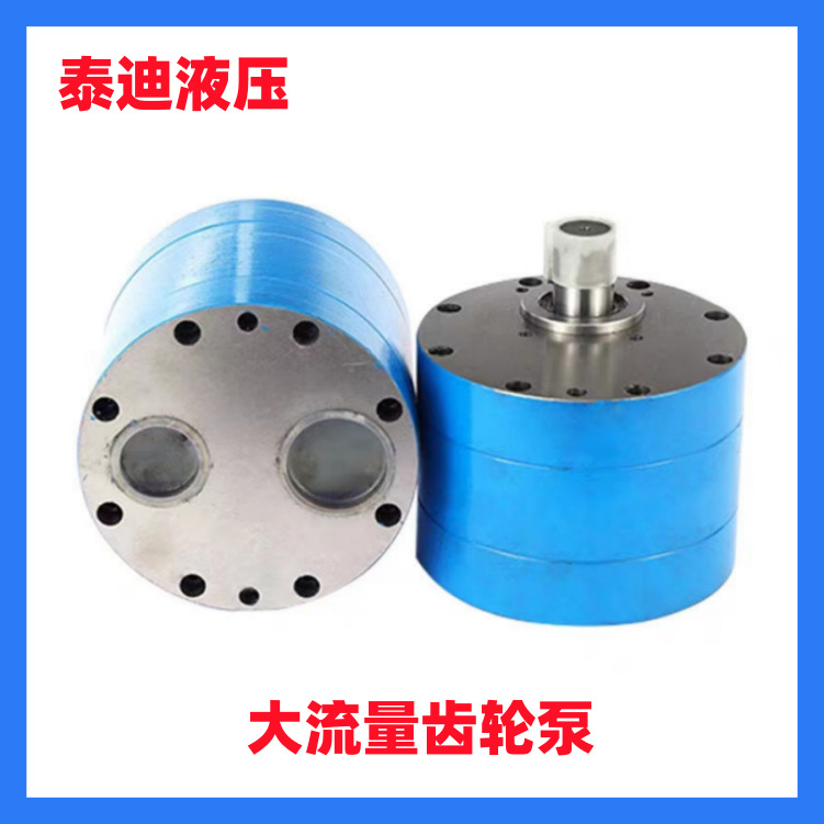 供应CB-BD200大流量齿轮油泵 稀油站设备用泵