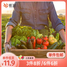 蔬菜种子种苗虹越园艺家盆栽甜西瓜苦瓜番茄阳台园艺四季水果播种