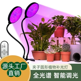 美甲机;小夜灯;植物生长灯