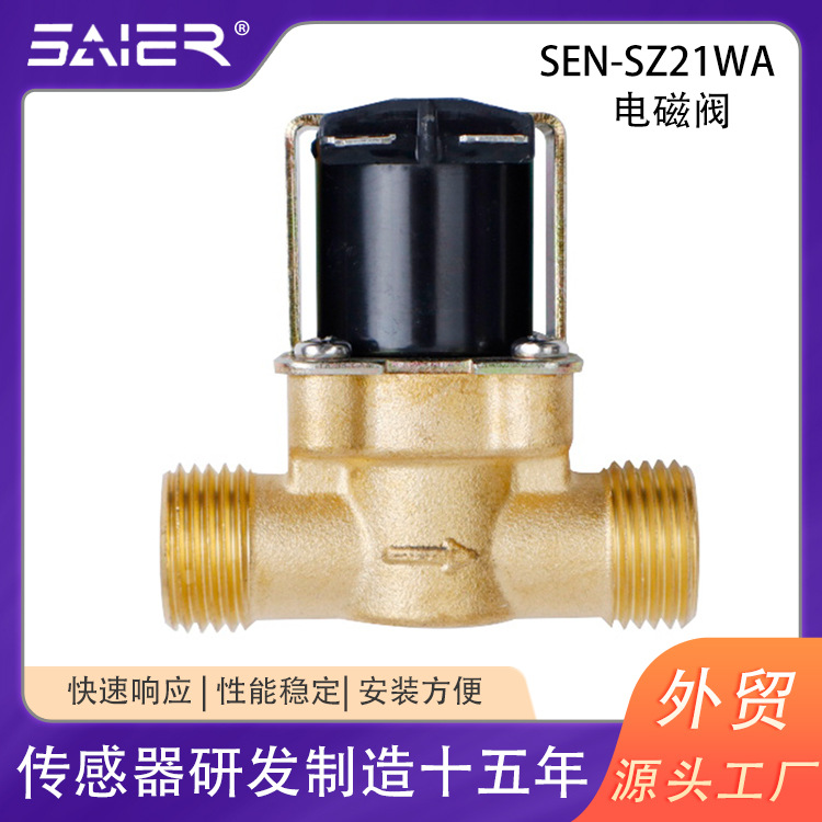 赛盛尔厂家4分先导式黄铜水电磁阀12V24V进水电磁阀水阀