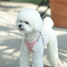 狗狗牵引绳猫咪狗绳子背心式胸背带小狗小型犬泰迪宠物遛狗绳