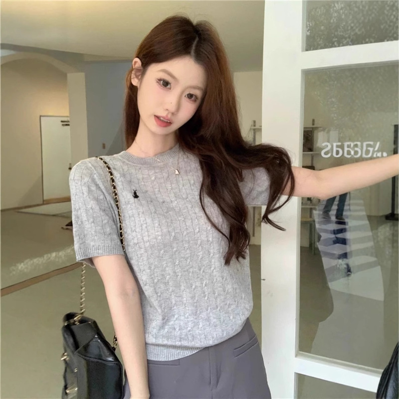 Fine Wool Short-Sleeved Women's Round Neck Basic Knitwear Autumn and Winter New Versatile Top Delicate Skin-Friendly Fabric