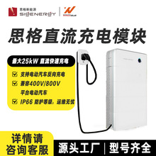 思格新能源汽车直流充电桩 家用充电桩立柱比亚迪充电桩国标枪口