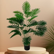 Gֲɢβ͏dkb⻨@쾰ֲ[